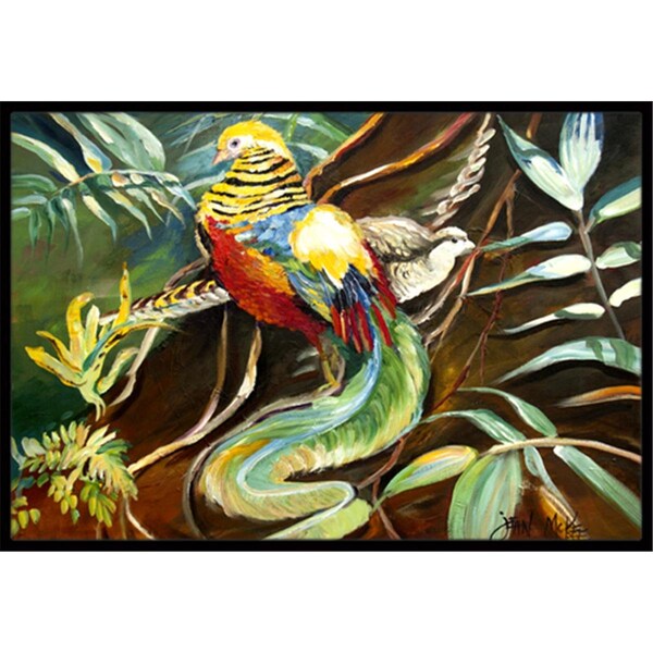 Carolines Treasures Mandarin Pheasant Indoor and Outdoor Mat- 24 x 36 in. JMK1014JMAT - main